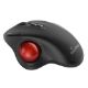 Εικόνα της Ποντίκι MediaRange Optical 7-Button Wireless Black/Red MROS263