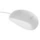 Εικόνα της Ποντίκι MediaRange Optical 2-Button Wired White MROS265