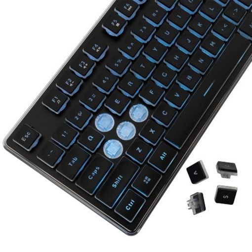 Εικόνα της Πληκτρολόγιο White Shark Tachi Full LED (US) Black GK-003141