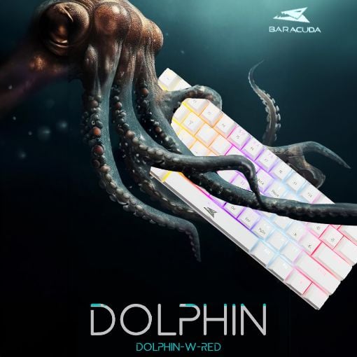Εικόνα της Πληκτρολόγιο Baracuda Dolphin 60% Rainbow Light Red Switches (US) White BGK-03211