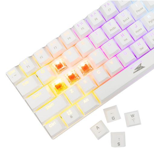 Εικόνα της Πληκτρολόγιο Baracuda Dolphin 60% Rainbow Light Red Switches (US) White BGK-03211