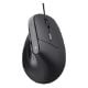 Εικόνα της Ποντίκι Trust Bayo II Ergonomic Black 25144