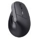 Εικόνα της Ποντίκι Trust Bayo II Ergonomic Wireless Black 25145
