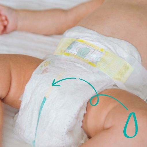 Εικόνα της Πάνες με Αυτοκόλλητο Pampers Premium Care No.5 (11-16Kg) Monthly Pack 148τμχ
