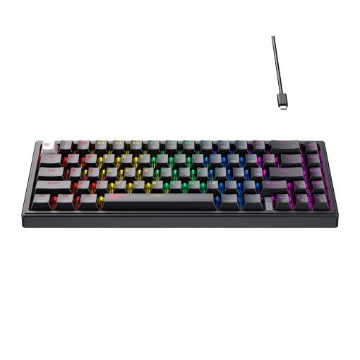 Εικόνα της Πληκτρολόγιο Havit KB874L 65% RGB Black