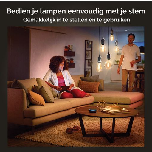 Εικόνα της Smart Lamp Philips Hue E27 ST64 550lm 7W Extra Warm White 929003051701