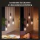 Εικόνα της Smart Lamp Philips Hue E27 ST64 550lm 7W Extra Warm White 929003051701