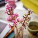 Εικόνα της LEGO Botanicals: Cherry Blossoms 40725