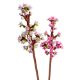 Εικόνα της LEGO Botanicals: Cherry Blossoms 40725