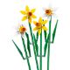 Εικόνα της LEGO Botanicals: Daffodils 40747