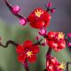 Εικόνα της LEGO Botanicals: Plum Blossom 10369