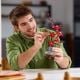 Εικόνα της LEGO Botanicals: Plum Blossom 10369