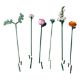 Εικόνα της LEGO Botanicals: Pretty Pink Flower Bouquet 10342