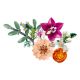 Εικόνα της LEGO Botanicals: Pretty Pink Flower Bouquet 10342