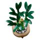 Εικόνα της LEGO Botanicals: Lucky Bamboo 10344