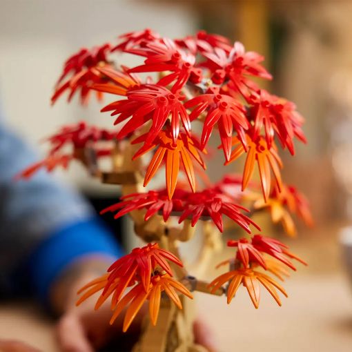 Εικόνα της LEGO Botanicals: Japanese Red Maple Bonsai Tree 10348
