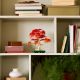 Εικόνα της LEGO Botanicals: Japanese Red Maple Bonsai Tree 10348