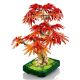 Εικόνα της LEGO Botanicals: Japanese Red Maple Bonsai Tree 10348