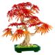 Εικόνα της LEGO Botanicals: Japanese Red Maple Bonsai Tree 10348