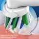 Εικόνα της Ηλεκτρικές Οδοντόβουρτσες Oral-B Pro Series 1 Duo (2-Pack) Black/Blue