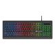 Εικόνα της Πληκτρολόγιο Lamtech Full Size Rainbow Backlight (GR) Black LAM021325