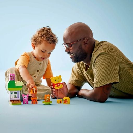 Εικόνα της LEGO Duplo: Disney Winnie The Pooh's Birthday Party 10457