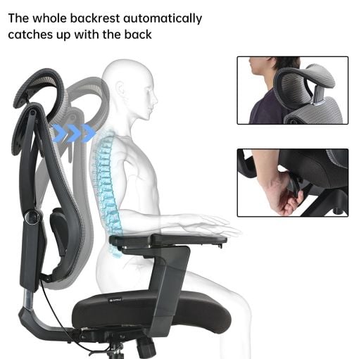 Εικόνα της Καρέκλα Γραφείου Eureka Ergonomic Black ERK-OC05-B