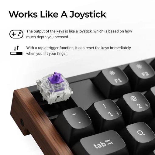 Εικόνα της Πληκτρολόγιο Keychron K10 HE Full Wireless RGB Hot-Swappable Magnetic Nebula Switches (US) Special Edition Black K10H-F1