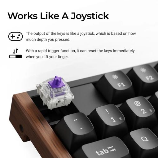 Εικόνα της Πληκτρολόγιο Keychron K10 HE Full Wireless RGB Hot-Swappable Magnetic Nebula Switches (US) Black K10H-J1