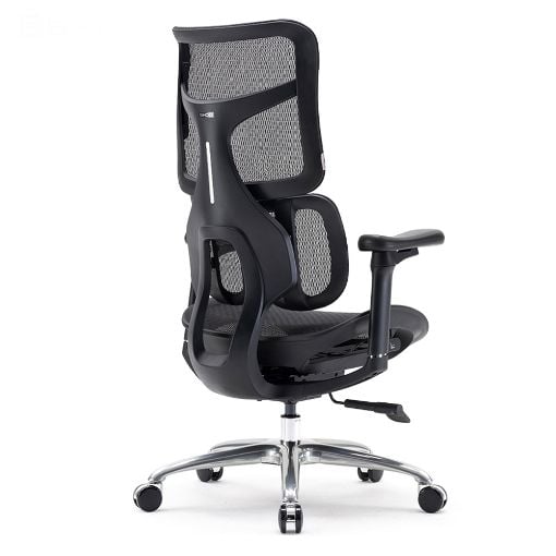 Εικόνα της Καρέκλα Γραφείου Sihoo Ergonomic Doro S100 Black S100-M301