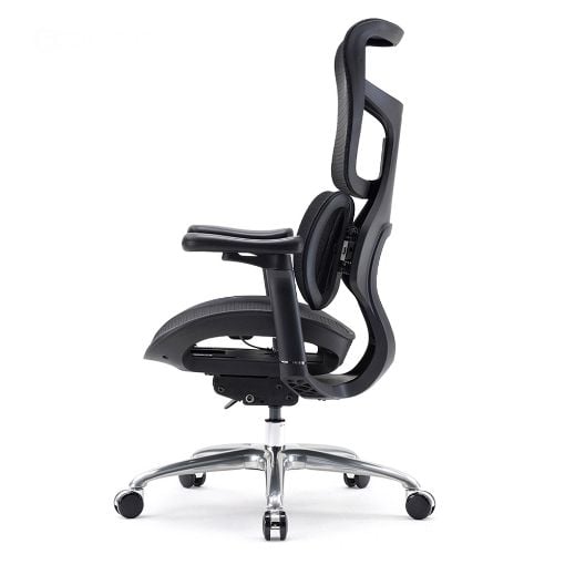 Εικόνα της Καρέκλα Γραφείου Sihoo Ergonomic Doro S100 Black S100-M301