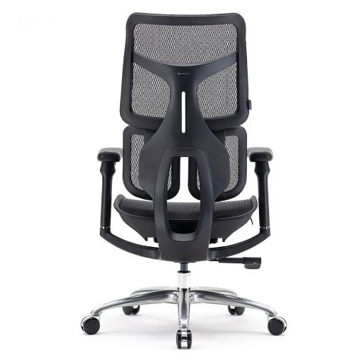 Εικόνα της Καρέκλα Γραφείου Sihoo Ergonomic Doro S100 Black S100-M301