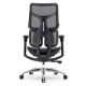Εικόνα της Καρέκλα Γραφείου Sihoo Ergonomic Doro S100 Black S100-M301
