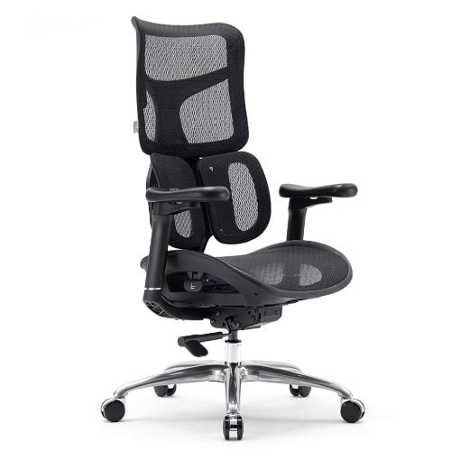 Εικόνα της Καρέκλα Γραφείου Sihoo Ergonomic Doro S100 Black S100-M301
