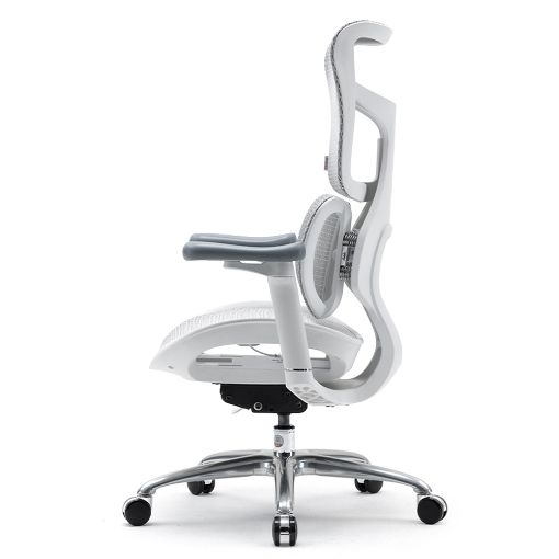 Εικόνα της Καρέκλα Γραφείου Sihoo Ergonomic Doro S100 Off White S100-M302
