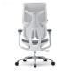 Εικόνα της Καρέκλα Γραφείου Sihoo Ergonomic Doro S100 Off White S100-M302