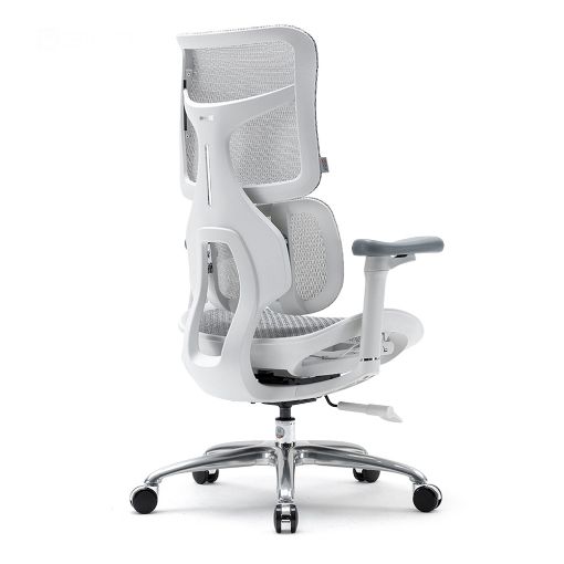 Εικόνα της Καρέκλα Γραφείου Sihoo Ergonomic Doro S100 Off White S100-M302