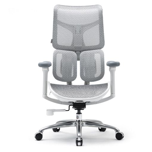 Εικόνα της Καρέκλα Γραφείου Sihoo Ergonomic Doro S100 Off White S100-M302