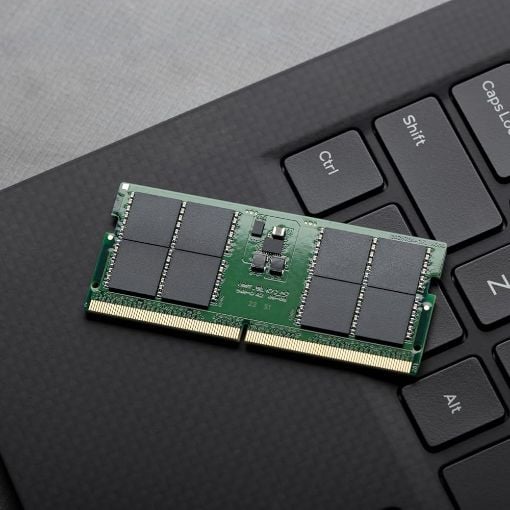 Εικόνα της Ram Kingston 32GB DDR5-5600MHz CL46 KCP556SD8-32