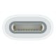 Εικόνα της Apple USB-C Adapter to Apple Pencil MWML3ZM/A