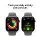 Εικόνα της Apple Watch Series 11 GPS + Cellular 42mm Titanium Natural with Stone Grey Band (M/L) MF8N4QL/A