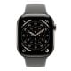 Εικόνα της Apple Watch Series 11 GPS + Cellular 42mm Titanium Natural with Stone Grey Band (M/L) MF8N4QL/A