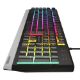 Εικόνα της Πληκτρολόγιο Genesis Rhod 300 Full RGB (US) Silver/Black NKG-1528
