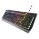 Εικόνα της Πληκτρολόγιο Genesis Rhod 300 Full RGB (US) Silver/Black NKG-1528