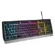 Εικόνα της Πληκτρολόγιο Genesis Rhod 300 Full RGB (US) Silver/Black NKG-1528