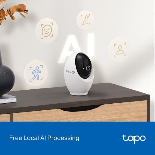 Εικόνα της Home Security Wi-Fi AI Camera Tp-Link Tapo C260 Pan/Tilt 4K