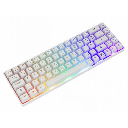 Εικόνα της Πληκτρολόγιο White Shark Ronin 65% RGB (US) White GK-2201W