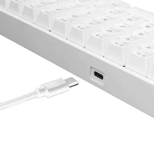Εικόνα της Πληκτρολόγιο White Shark Shinobi 2 60% RGB Hot-Swappable Red Switches (US) White GK-004211