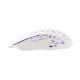Εικόνα της Ποντίκι White Shark Caradoc RGB White GM-5018