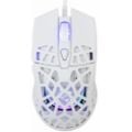 Εικόνα της Ποντίκι White Shark Caradoc RGB White GM-5018